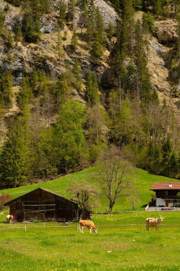 Apartamento Hafod A Hendre Lauterbrunnen Exterior foto
